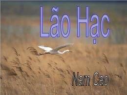 Bài giảng Ngữ văn 8: Lão Hạc - Nam Cao